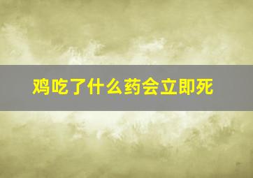 鸡吃了什么药会立即死