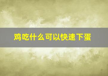 鸡吃什么可以快速下蛋