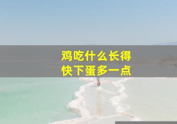 鸡吃什么长得快下蛋多一点