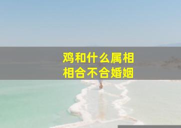 鸡和什么属相相合不合婚姻