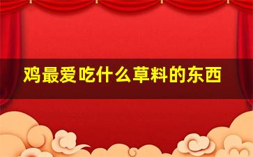 鸡最爱吃什么草料的东西