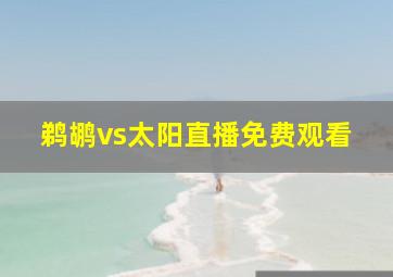 鹈鹕vs太阳直播免费观看