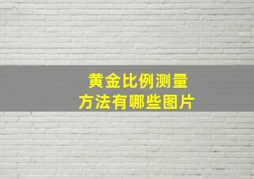 黄金比例测量方法有哪些图片