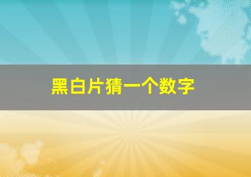 黑白片猜一个数字