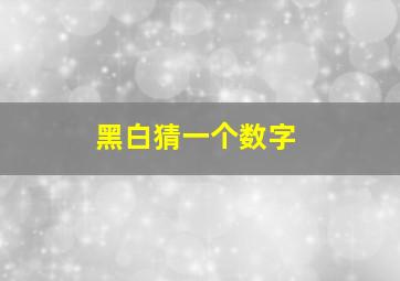 黑白猜一个数字