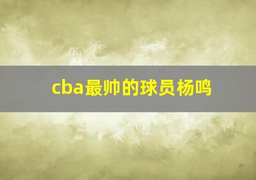 cba最帅的球员杨鸣