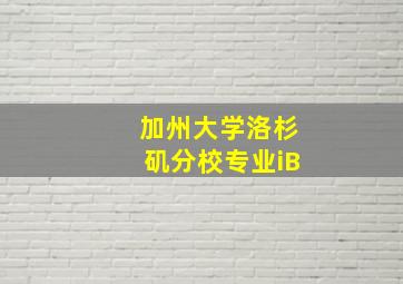 加州大学洛杉矶分校专业iB