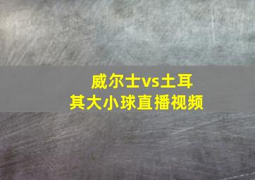 威尔士vs土耳其大小球直播视频