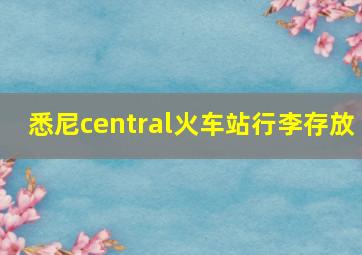 悉尼central火车站行李存放