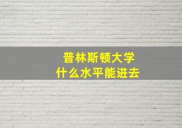 普林斯顿大学什么水平能进去