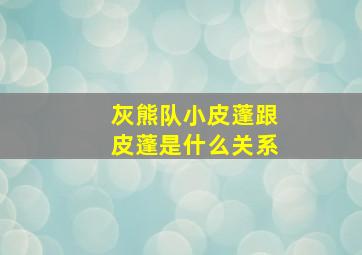 灰熊队小皮蓬跟皮蓬是什么关系