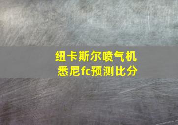 纽卡斯尔喷气机悉尼fc预测比分